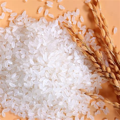 2020年五常大米稻花香米5kg东北10斤新米现磨试吃装中秋礼品-阿里巴巴