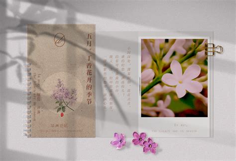 丁香色图图片