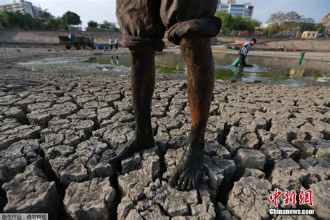印度高温导致干旱 河塘干涸死鱼遍地-中国气象局政府门户网站