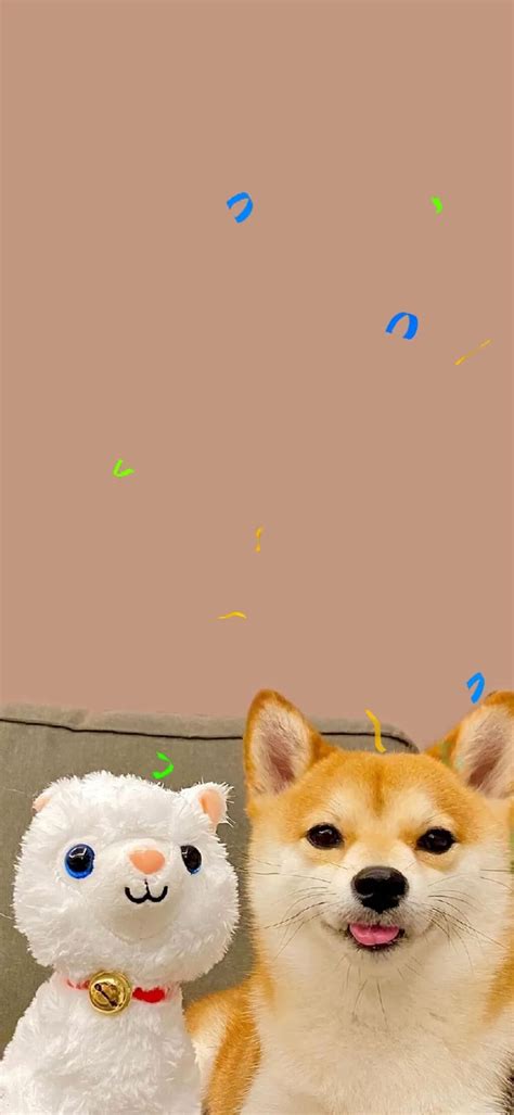 二狗子图片