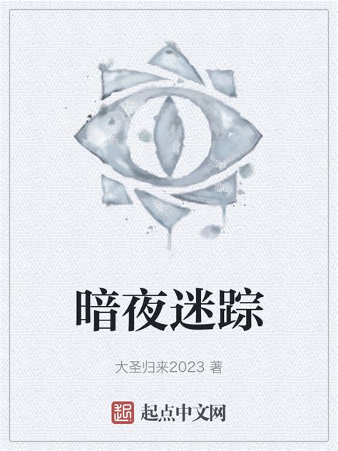 《暗夜迷踪》小说在线阅读-起点中文网