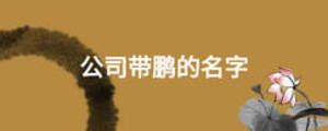 上海关键词自动排名（上海关键词排名提升）-8848SEO