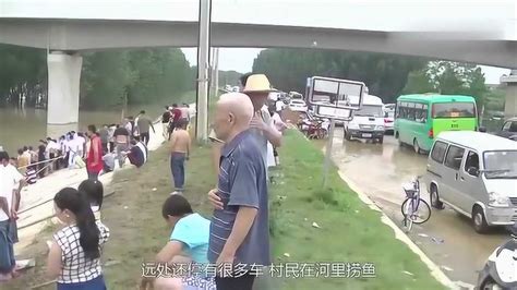 暴雨过后水库鱼浮头，数百村民闻讯赶来抓鱼，场面壮观难得一见_腾讯视频