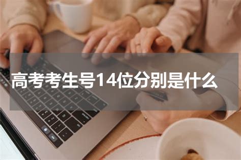 2018重庆高考考生号查询方法