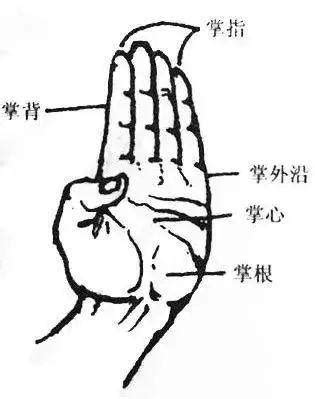 武术的三种基本手型：拳、掌、勾教学_拇指_掌心_锻炼