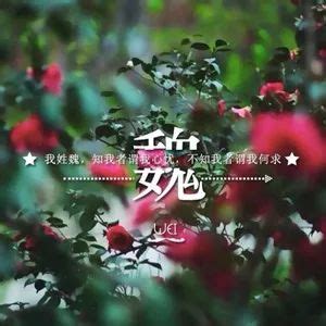 柴姓非主流头像