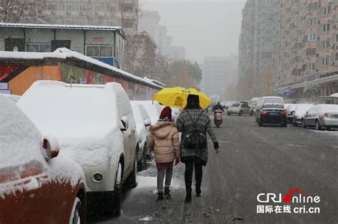 北京多地飘雪 粉妆玉砌如冰雪世界-图片频道