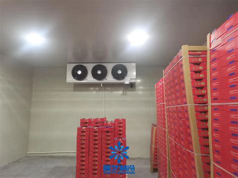 大型冷库设备的功能和维护-宁波市艾伦德冷暖科技有限公司