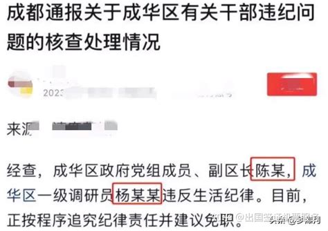 成都41岁女副区长不雅聊天事件官方通报出炉，男主另有其人 - 知乎