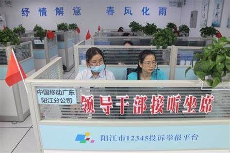 阳江市12345热线2022年上半年运行分析报告