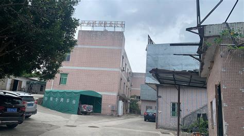 深圳市龙岗区布吉街道可园学校--可园学校