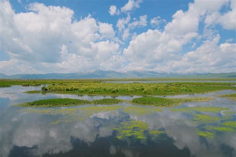 甘南各地县海拔一览表图—甘南各地县海拔一览表图片 - 国内 - 华网