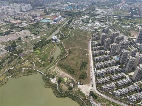 莲都探古：古巷深深深几许，古韵悠悠悠几深 - 热点 - 丽水在线-丽水本地视频新闻综合门户网站