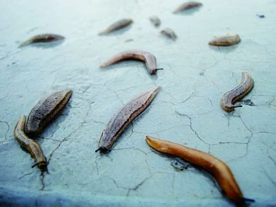 浴室潮湿怎么办是什么原因 昆明装修网来解答 - 本地资讯 - 装一网