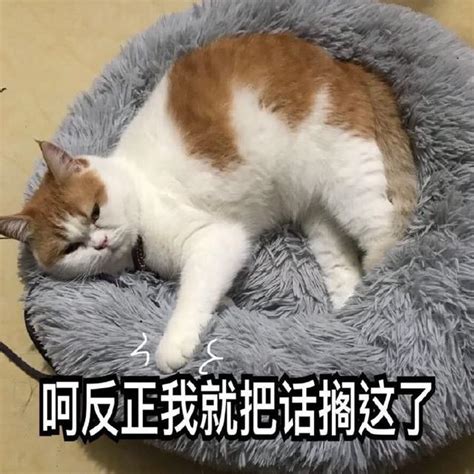 关灯睡觉表情包图片