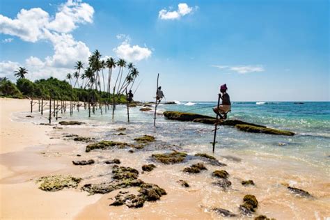 斯里兰卡八月起对中国游客免签 | TTG China