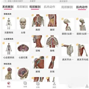 【3Dbody解剖电脑版下载2024】3Dbody解剖 PC端最新版「含模拟器」