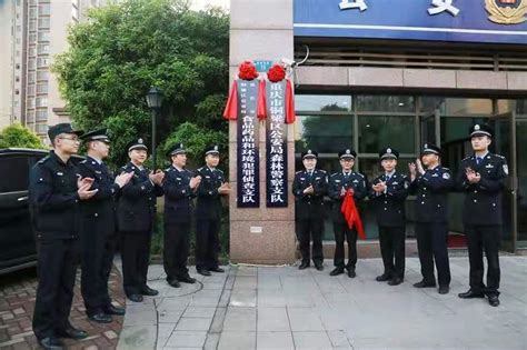 视频：首个中国人民警察节 四川公安举行警旗升旗仪式_四川在线
