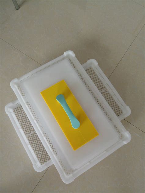 得利畜牧单冻盘 冷库专用塑料托盘 抗冻塑料盘子 单冻器-阿里巴巴