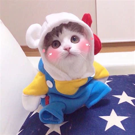 头像动漫非主流搞怪