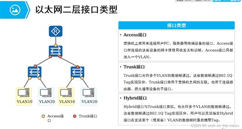 VLAN 原理和配置_指定vlan路径-CSDN博客