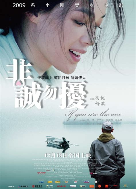 2009年五大最值得看的华语贺岁电影_纳兰惊梦_新浪博客