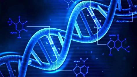 基因通常是有遗传效应的DNA片段-安庆师范大学生命科学学院