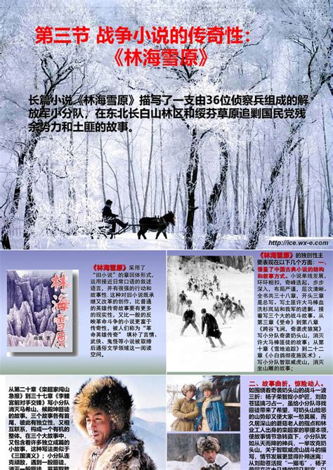 第三节战争小说的传奇性林海雪原优质课件PPT模板下载_编号qkygyryo_熊猫办公