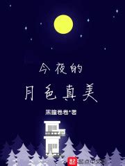 今夜的月色真美(黑瞳卷卷)全本在线阅读-起点中文网官方正版