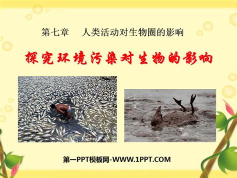 《探究环境污染对生物的影响》人类活动对生物圈的影响PPT课件PPT课件下载 - fsxoyo主题PPT整站程序展示