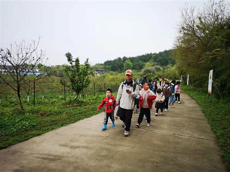 武汉周末亲子游带孩子去这个乡村农家乐，回忆童年的味道