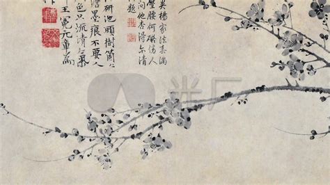 科学网—王冕画的梅与荷 - 史永文的博文