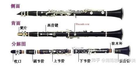 威尼斯狂欢节单簧管,狂欢节长笛,狂欢节钢(第7页)_大山谷图库