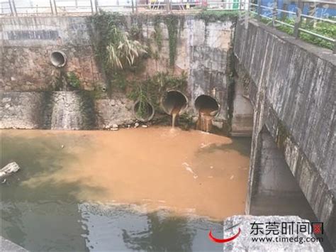 东莞水污染治理现场指挥部组织媒体暗访城市建成区黑臭水体整治情况