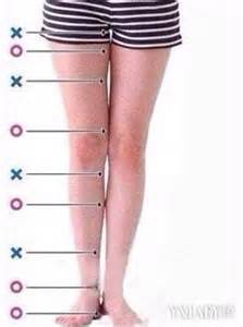 【图】大腿与小腿的比例如何才完美 腿围测量方法介绍_大腿与小腿的比例_伊秀美体网|yxlady.com