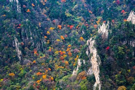 老君山，云海之巅（观云海）体验千米绝壁玻璃栈道