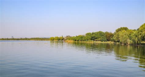 中国长春南湖公园的湖中盛开的莲花高清摄影大图-千库网