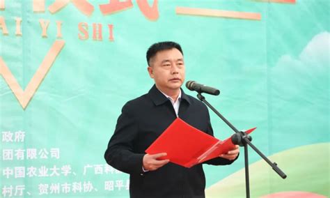 广西昭平茶科技小院揭牌成立|手机广西网