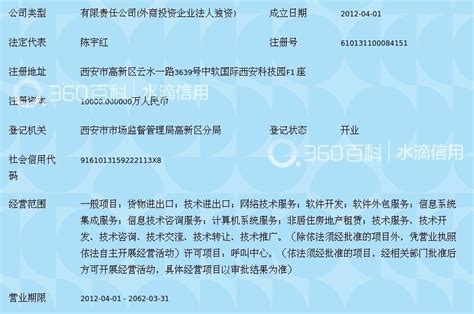 中软国际科技服务有限公司_360百科