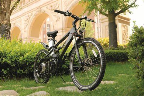 电动自行车电机一般多少瓦