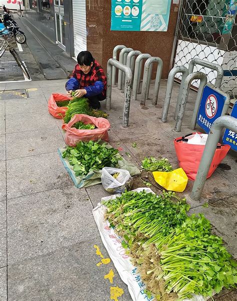 在北京菜市场租摊位-北京那有准备开业的 菜市场 我想租个摊位 _感人网