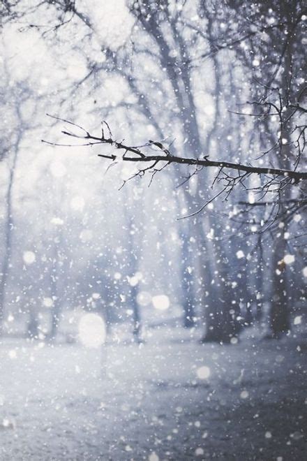 你最喜欢的关于雪的诗句是哪一句？ - 知乎