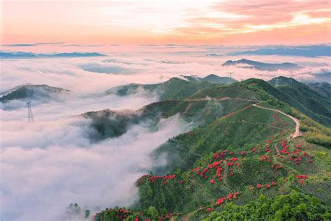 茶山杭州风貌龙井村,山景区,旅游景点,摄影素材,汇图网www.huitu.com