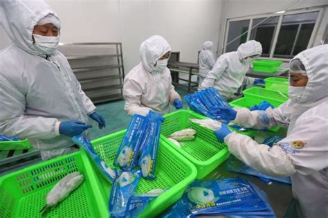 汇生活 _ “河豚鱼有条件放开”后，江苏中洋为全国唯一淡水河豚鱼加工企业