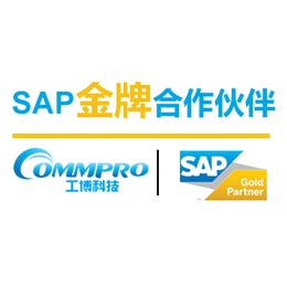 汕头SAPERP软件公司汕头玩具管理软件汕头SAP实施代理商_管理软件_第一枪