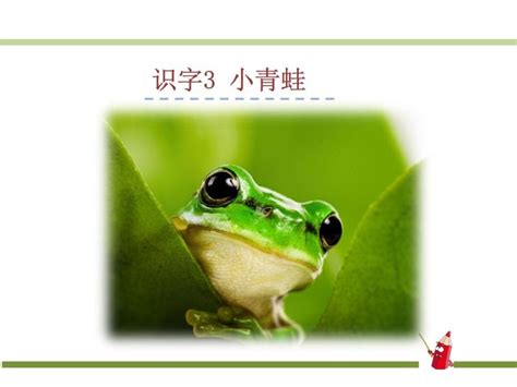 小学语文人教部编版一年级下册3 小青蛙优秀课件ppt-教习网|课件下载
