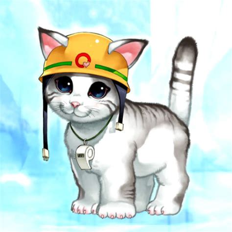 救援动物4·救援猫图片 救援动物4·救援猫图片