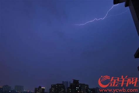 注意避雨！广州市多区暴雨和雷雨大风预警均在生效