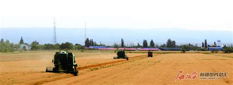 全产业链发展赋能农业现代化---A05非凡10年·地州巡礼 塔城--2022-07-19--新疆日报