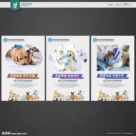 宠物医院设计图__广告设计_广告设计_设计图库_昵图网nipic.com